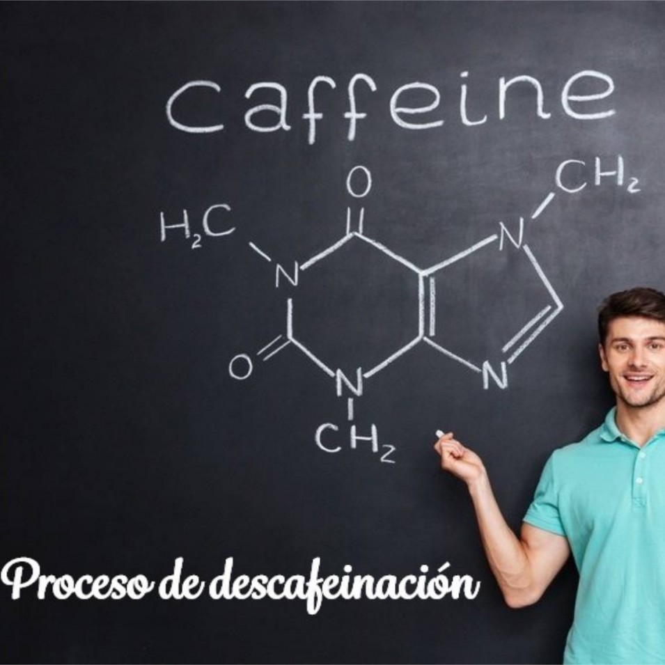 Proceso de eliminación de la cafeína utilizando sólo agua