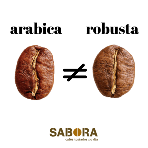 Diferencias entre el café arábica y el café robusta.