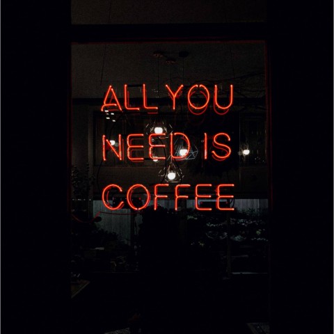 Todo o que necesitas é café